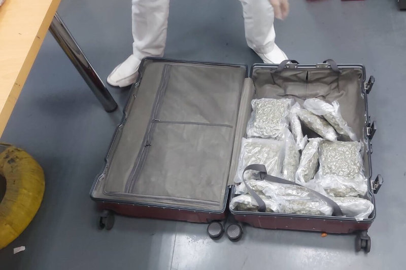 航空警察局與台北關攜手查獲販毒集團允諾負擔旅費，利用泰國籍女子來台假觀光真運毒，以行李箱夾藏毒品大麻花16.78公斤，調查後依毒品危害防制條例送桃園地檢署偵辦起訴。（航空警察局提供）中央社記者吳睿騏桃園傳真　114年12月3日