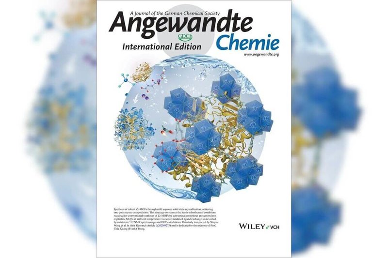 中央大學化學系教授謝發坤等人組成團隊開創「水相固相結晶」策略，能在近常溫常壓的水溶液中，組裝出堅固的鋯「金屬有機骨架」，並同步安全封裝酵素，研究成果獲刊國際期刊「德國應用化學」封面。（中大提供）中央社記者許秩維傳真　114年12月3日