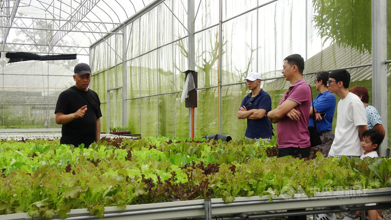 「菁菁蔬果農場」創辦人黃禹靖（左）向前往參觀的旅菲台商第2代解說種植知識。中央社記者林行健三描禮士省攝　114年12月4日