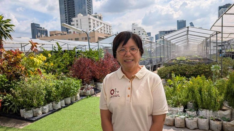 泰國曼谷市中心1處商場頂樓藏有小農場種蔬菜，更重要是將商場產生廚餘做成堆肥，與土壤混合做成肥料，社會企業曼谷屋頂農場（Bangkok Rooftop Farming）創辦人之一帕里那（Pareena Prayukvong）（圖）介紹廚餘轉變成新生命起點過程。中央社記者曾以寧攝　114年12月4日