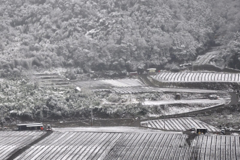 強烈寒流發威，海拔僅700公尺的省道台七甲線宜蘭大同四季部落，24日降雪，當地原是高低起伏的高麗菜園及小屋地景，變成銀色童話世界。中央社記者沈如峰宜蘭縣攝 105年1月24日