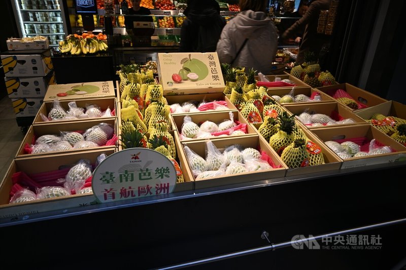 台南市長黃偉哲率團到荷蘭拓銷，並在阿姆斯特丹舉行台南芭樂首賣會，吸引許多旅居荷蘭的台灣民眾購買。中央社記者吳柏緯阿姆斯特丹攝　114年12月6日