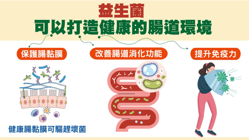 振興醫院大腸直腸外科主任黃任嫻解釋，腸道菌泛指生存在腸道內的所有微生物群，包括細菌、病毒、真菌和其他微生物，其菌群平衡對於人體健康至關重要。（振興醫院提供）中央社記者曾以寧傳真 114年12月8日