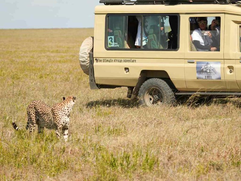 藝人雷艾美、蕭志瑋（八弟）、黃仕傑（阿傑）、楊盛堯（Max）和體壇好手文姿云與蕭俊文在節目「上山吧！台灣隊」組成台灣隊，前進非洲體驗獵遊行程，近距離看見非洲五霸（Big Five），包含象、獅、豹、水牛、犀牛。（三立提供）中央社記者洪素津傳真　114年12月10日