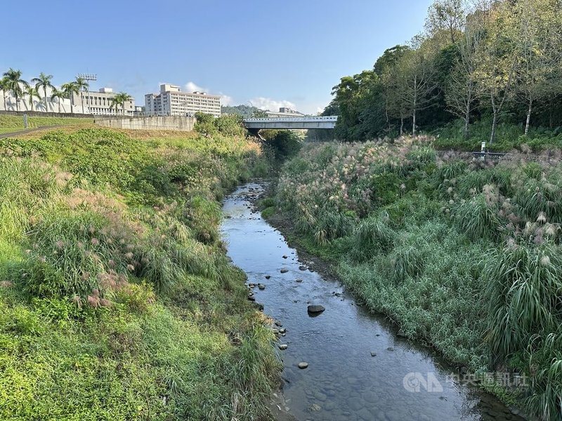 台北市長蔣萬安10日前往政治大學旁視察景美溪及指南溪匯流口護岸再造工程，他說，這裡現在的景象跟他念大學時已大不相同。中央社記者陳昱婷攝 114年12月10日