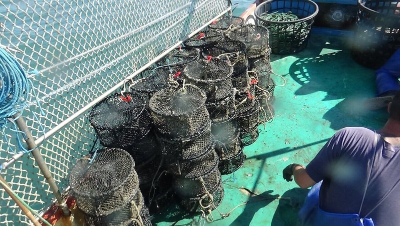 高雄多個區漁會反映高雄沿岸海域漁船違規籠具作業猖獗，高雄市政府海洋局與海洋委員會海巡署聯合巡查，11日在茄萣、永安、彌陀等沿近海域查獲違規籠具394個。（高雄市海洋局提供）中央社記者蔡孟妤傳真　114年12月12日