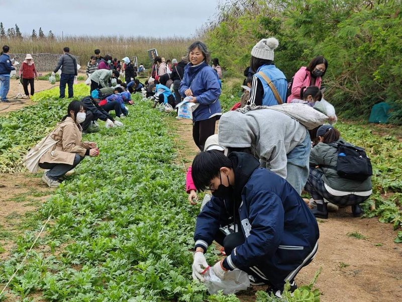 澎湖縣湖西鄉公所13日主辦「來趣湖西~山海食旅活動」探索山林與海洋，親子參與者在寒風中體驗採青菜與扒貝殼，享受豐盛生態饗宴。（澎湖湖西鄉公所提供）中央社   114年12月13日