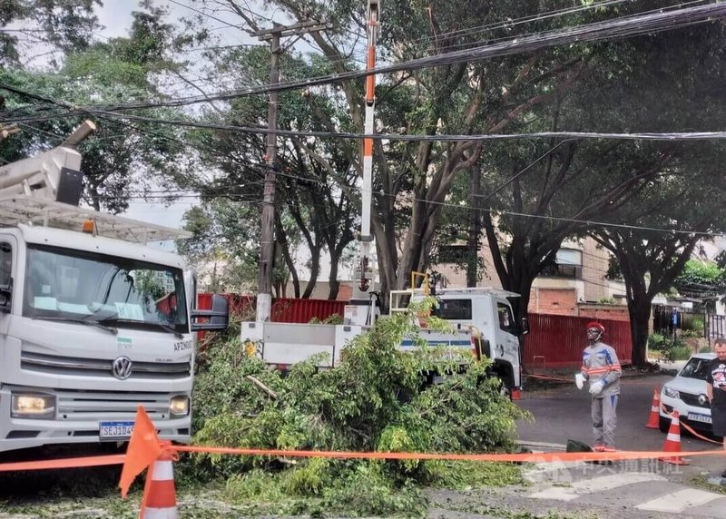 巴西東南部本週遭遇罕見強風侵襲，聖保羅市區至少382棵樹木傾倒，部分路段仍待清理。中央社記者唐雅陵聖保羅攝　114年12月13日