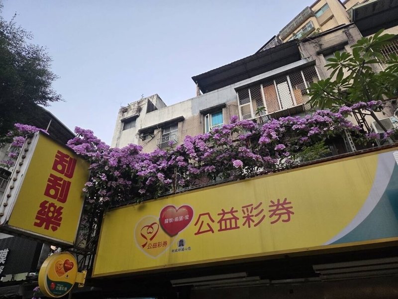 公益彩券經銷商林佩姍17日分享自家彩券行樓上紫藤花開美景。（台彩公司提供）中央社記者呂晏慈傳真　114年12月17日