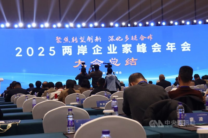 兩岸企業家峰會17日閉幕。峰會台灣方副理事長毛治國作會議總結。本屆峰會主題為「聚焦轉型創新 深化多鏈合作」。中央社記者張淑伶南京攝 114年12月17日