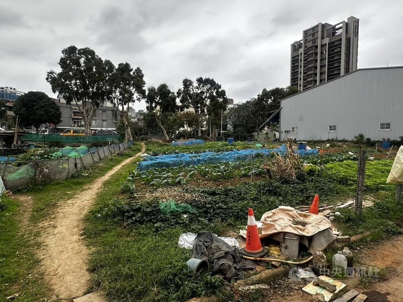 新北市林口區2名男子18日上午在菜園內因種菜問題起衝突，7旬翁身中4刀送醫搶救。犯嫌案後騎機車逃逸，警方全力追緝中。（翻攝照片）中央社記者曹亞沿傳真　114年12月18日