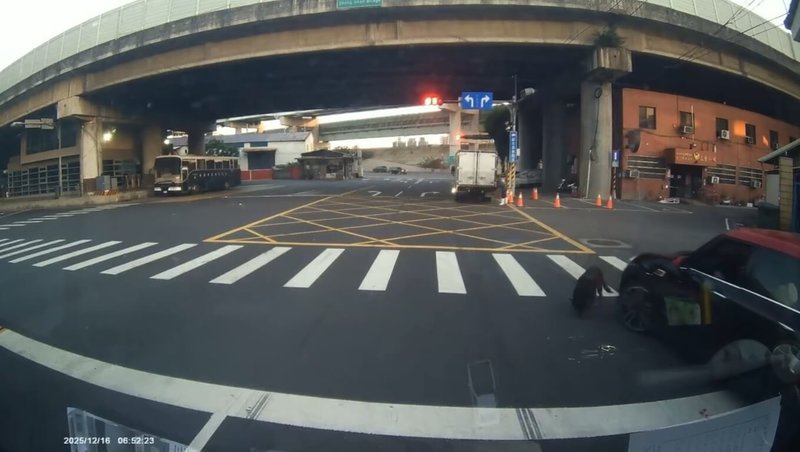 新北市三重區16日有一輛汽車要迴轉時，2度碾壓一隻黑狗，所幸黑狗尚能行走、無大礙。新北市動保處在三重警分局協助下已查獲肇事車主，將依法開罰。（新北市動保處提供）中央社記者曹亞沿傳真　114年12月18日