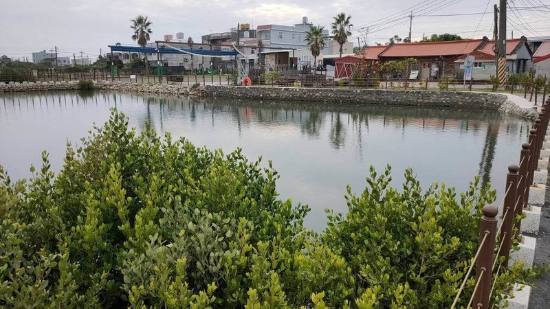 海保署攜手高雄市海洋局、高雄科技大學，將低度利用魚塭打造為藍碳棲地，成功在高雄沿海導入藍碳生態系理念，可作為未來推動藍碳方法學落地運用的示範案例，18日在高雄永安發表計畫成果。（海洋保育署提供）中央社記者張已亷傳真　114年12月18日