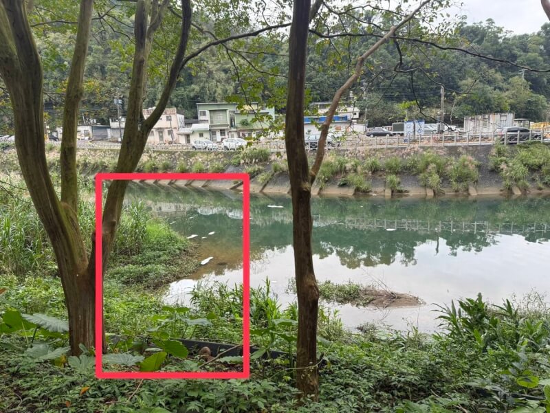 基隆暖暖溪水源橋下發現大量不明白色泡沫，台水獲報後第一時間已立即指派人員趕赴現場，並啟動緊急應變機制，包括預防性停止抽取基隆河原水。（台水提供）中央社記者曾智怡傳真　114年12月18日