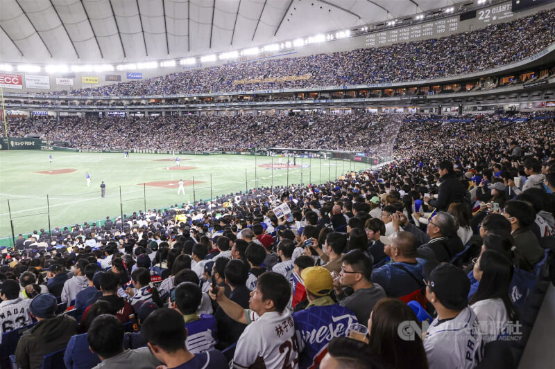 第6屆世界棒球經典賽（WBC）2026年3月將在日本東京巨蛋舉辦C組預賽。圖為2024年11月東京巨蛋舉辦世界12強賽複賽時坐滿觀賽球迷。（中央社檔案照片）