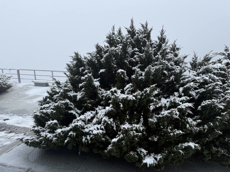 中央氣象署觀測，20日上午玉山北峰清晨降雪，5時45分積雪累積達2.5公分，後雖轉雨，但9時5分時又再度降雪，成銀白世界。（氣象署提供）中央社記者吳欣紜傳真 114年12月20日
