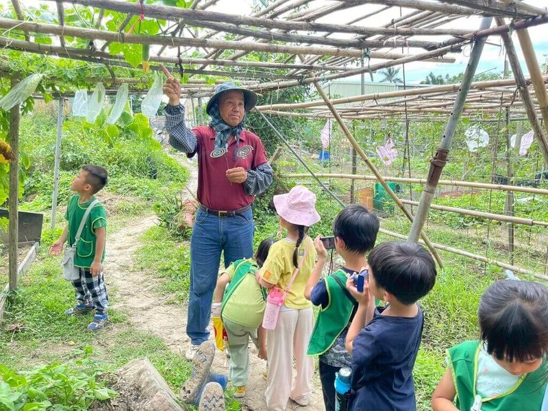 桃園市中路非營利幼兒園邀請在地耆老帶領孩子種菜、種稻，從觀察、採收到辦桌活動，讓幼兒理解食物生產過程。（教育部提供）中央社記者許秩維傳真　114年12月21日