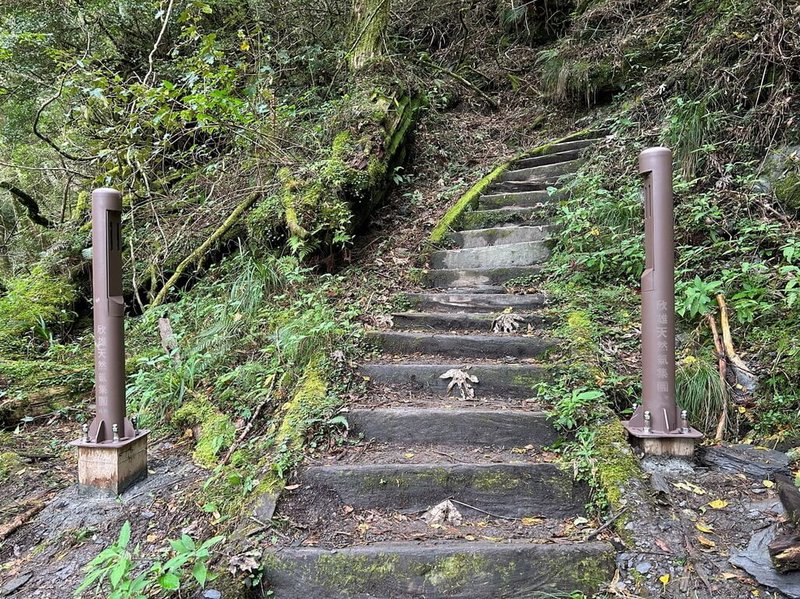 玉山國家公園管理處在南橫三山步道出入口設置「雙向人員流量計數器」，收集不同時段、季節人流數據，用作環境負荷和步道經營具體參考。圖為庫哈諾辛山登山口完成設置人流計數器。（玉山國家公園管理處提供）中央社記者蕭博陽傳真　114年12月22日
