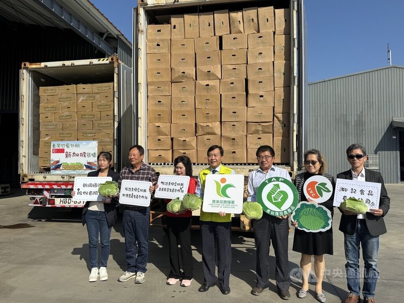 高麗菜進入盛產期，目前市場價格每公斤均價10元，農糧署23日辦理出口封櫃儀式，預計農曆過年前出口9櫃、約162公噸出口到新加坡，向世界分享台灣高麗菜的鮮甜好滋味。農糧署長姚士源（中）等人出席活動。　中央社記者姜宜菁攝　114年12月23日