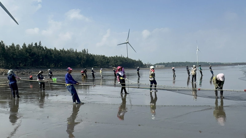 苗栗縣政府文化觀光局24日表示，「竹南后厝仔牽罟」經審議通過，成為苗栗縣首件登錄「傳統知識與實踐」無形文化資產，並認定「苗栗縣天文牽罟觀光文化協會」為保存團體。（苗栗縣政府提供）中央社記者管瑞平傳真　114年12月24日