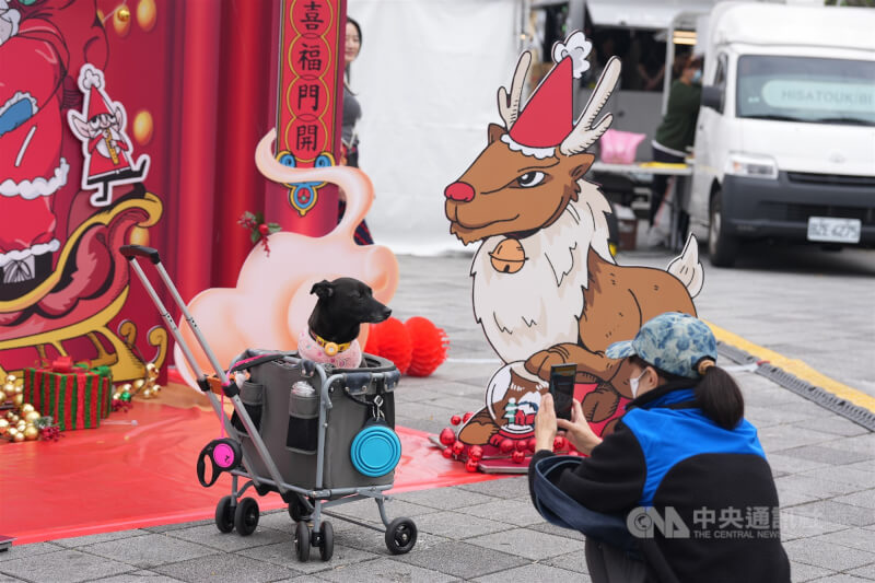 圖為氣象署表示，25日大陸冷氣團南下，耶誕節至26日清晨最冷。圖為台北圓山花博公園部分活動布置耶誕裝飾，民眾幫愛犬在裝飾前留影。（中央社檔案照片）