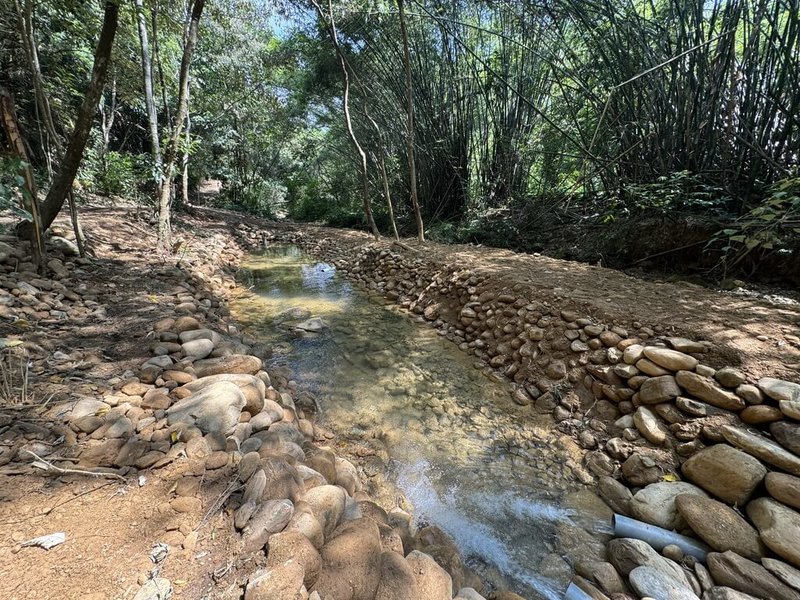 「台灣白魚」被列為二級保育類物種，目前僅少量分布在中部溪流，農業部農村發展及水土保持署透過生態工法，協助地方改善棲地，其中生態池底透過大石塊及小石塊交錯排列，以及增加枝條枝葉，營造多孔隙，讓水生生物躲藏。（農村水保署提供）中央社記者汪淑芬傳真   114年12月25日