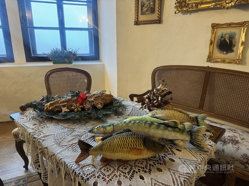 捷克知名的「施特恩貝克城堡」推出耶誕導覽行程，介紹百年前貴族的耶誕節生活樣貌。導覽員Vladimír表示，雖然現代捷克家庭多以鯉魚作為耶誕主菜，但過去一位施特恩貝克家族的伯爵不喜歡鯉魚，因此以「狗魚」（štika）替代。中央社記者劉郁葶中波希米亞攝 114年12月25日