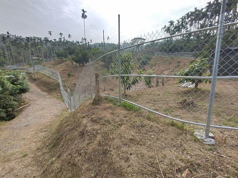 林保署嘉義分署24日在嘉義縣中埔鄉辦理「114年嘉南友善野生動物危害防治觀摩會」，電網兩側的果樹及雜木進行修枝或移除，避免獼猴以跳躍方式突破電網。（林保署嘉義分署提供）中央社記者蔡智明傳真　114年12月26日