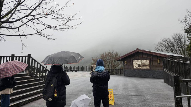 受大陸冷氣團影響，海拔1900多公尺的太平山國家森林遊樂區，26日清晨間歇性降下冰霰，地面也結霜，遊客們歡喜迎接銀白美景。（林保署提供）中央社記者沈如峰宜蘭縣傳真　114年12月26日