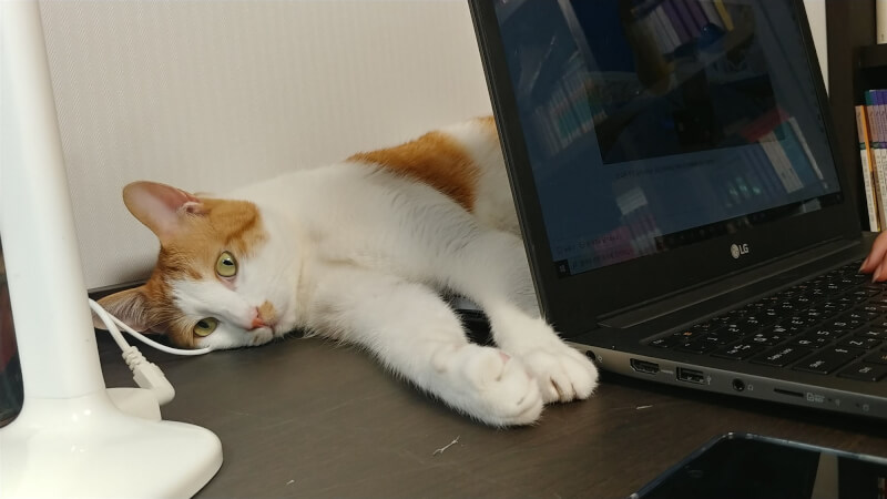 趙南柱把對女兒既羨慕又心疼的矛盾情緒、忍不住想提醒或指正女兒的大小事一股腦地敲進筆電，成為小說素材。（趙南柱提供）