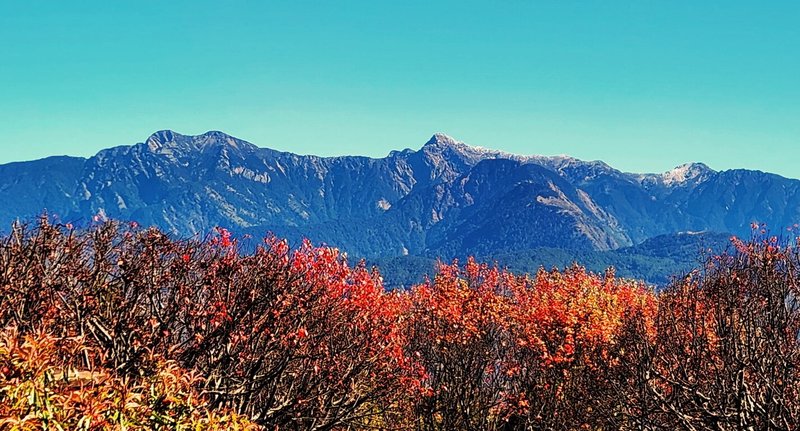 農業部林業及自然保育署嘉義分署30日指出，前一陣子寒流，玉山下雪，目前從阿里山國家森林遊樂區遠眺玉山山脈，可見山峰積白雪。（林保署嘉義分署提供）中央社記者蔡智明傳真　114年12月30日