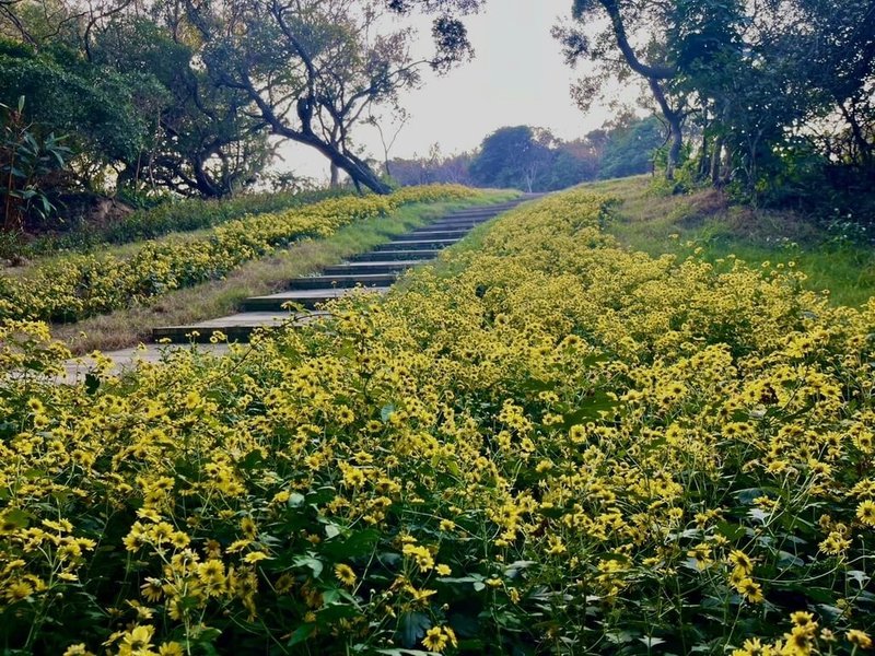 馬祖國家風景區管理處修整鄰近媽祖巨神像的「南竿鄉四維生態園區」，日前對外開放，園區結合自然植生與海景，盼能成為馬祖新地標。（馬祖國家風景區管理處提供）中央社記者潘欣彤傳真　114年12月31日
