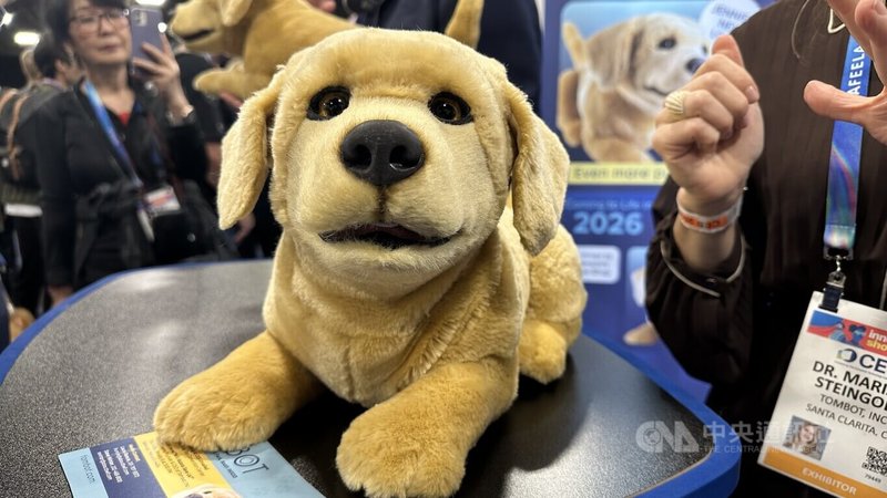 美國業者打造能陪伴失智者、年長者的機器狗Jennie，預計2026年在美國上市，有望2027年在台灣市場推出。中央社記者張欣瑜拉斯維加斯攝　115年1月5日