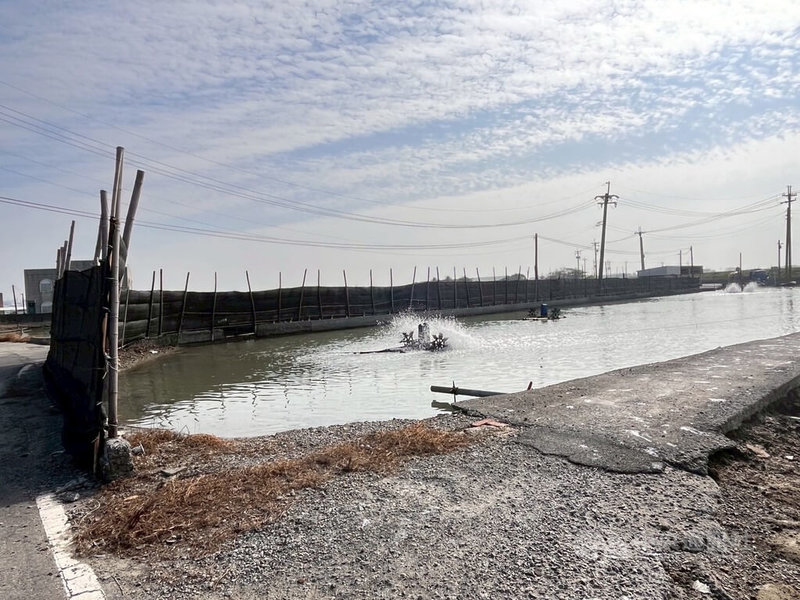 低溫侵襲，高雄市政府透過多元管道發布訊息，提醒農、漁民加強防寒措施。中央社記者蔡孟妤攝 115年1月6日