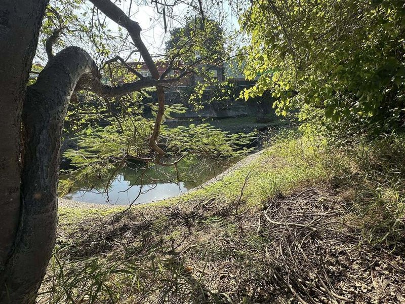 屏東縣佳冬鄉有處天然湧泉，不僅見證在地開發歷史，也是居民長年戲水去處。公所推動「佳冬湧泉生態保護與教育園區先期評估規劃案」，盼發展湧泉生態特色聚落與休閒環境。（屏科大教授盧惠敏提供）中央社記者黃郁菁傳真  115年1月7日
