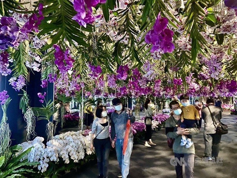 圖為台灣國際蘭展在蘭花園區舉行。（中央社檔案照片）