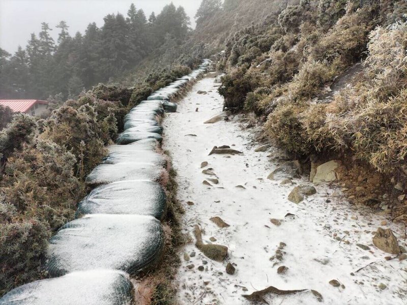 氣象署發布低溫特報，受大陸冷氣團及水氣影響，嘉明湖步道8日清晨4時許下起了陣雪，成為銀白世界。（嘉明湖熊出沒提供）中央社記者盧太城台東傳真　115年1月8日