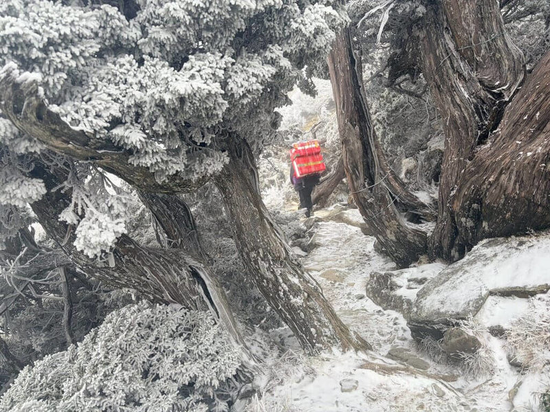 台東山區持續飄雪和冰霰，從海拔2722公尺的南橫大關山隧道開始出現冰霰，嘉明湖步道宛如銀白世界。（嘉明湖熊出沒團隊提供）中央社記者盧太城台東傳真　115年1月9日