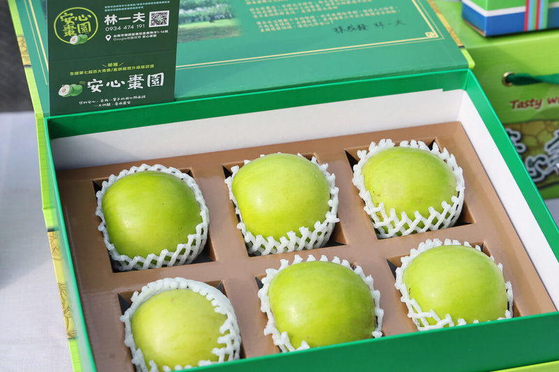 台南市楠西區生產的蜜棗首度外銷新加坡，首批鮮果12日正式出貨，青農林一夫所經營的棗園為主要生產來源。（台南市政府提供）中央社記者楊思瑞台南傳真  115年1月12日