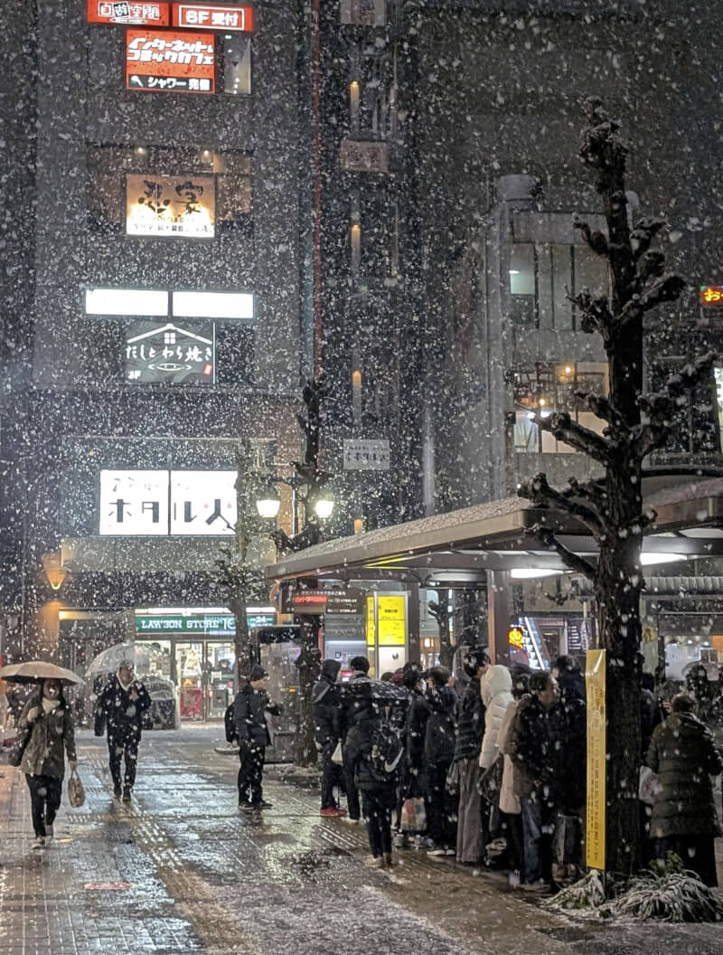圖為日本埼玉縣朝霞市2日降雪。（共同社）