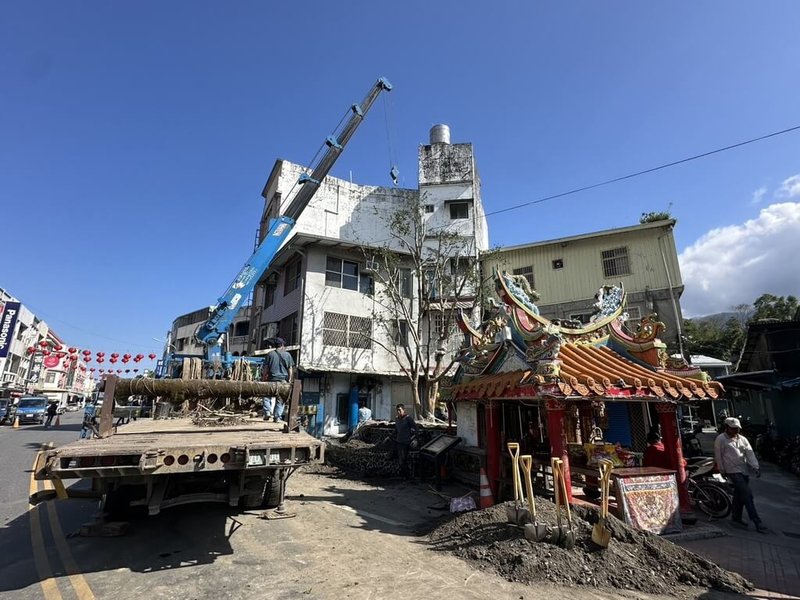 花蓮富里鄉中山路土地公廟旁一棵百年老榕樹，因颱風康芮過境遭摧殘衰頹，經專業檢查確認枯死除根後，改種「太魯閣櫟」，象徵生命循環、生態復育與地方守護精神延續。（富里鄉公所提供）中央社記者李先鳳傳真　115年1月14日