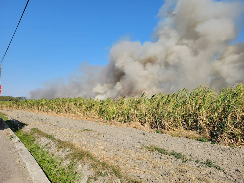 彰化縣二林鎮台糖甘蔗園13日下午起火，濃煙直竄天際，消防局加派人車支援，布設6條水線，火勢於1小時內控制，相關財損及起火原因待調查。（民眾提供）中央社記者鄭維真傳真 115年1月14日