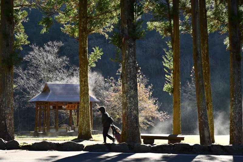 武陵農場14日清晨出現零下低溫，草地以及望溪亭都結霜，陽光照射後白霧蒸騰，宛如人間仙境。（武陵農場提供）中央社記者趙麗妍傳真  115年1月14日