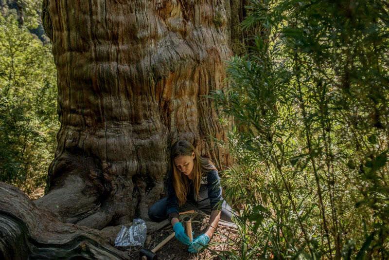 美國演化生物學家基爾斯創立「地下網絡保護學會」，聚焦研究真菌生物。（圖取自x.com/KiersToby）