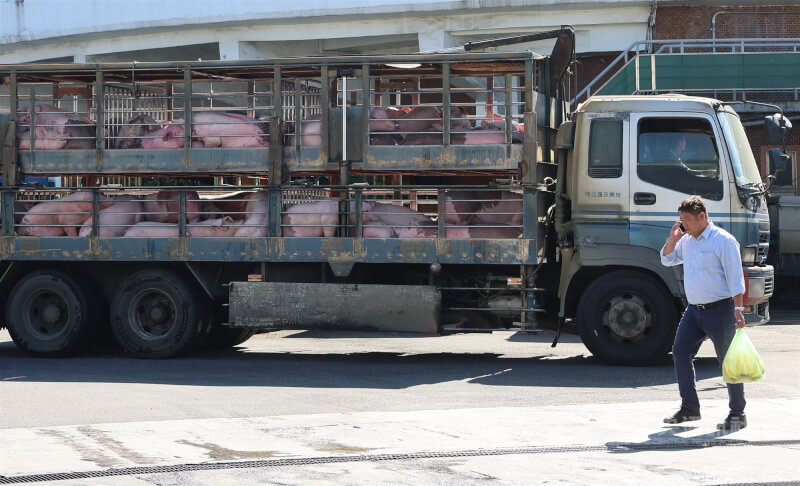 圖為業者將豬隻載運至新北肉品市場。（中央社檔案照片）
