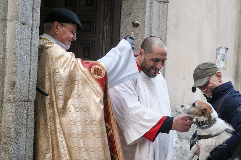 西班牙1月17日慶祝寵物專屬的天主教節日「聖安東節」，由於聖安東是「動物的守護聖人」，首都馬德里聖安東教堂按照傳統舉行「動物祈福儀式」，神父們從早到晚不停為大排長龍的毛孩子灑聖水賜福。中央社記者胡家綺馬德里攝  115年1月18日