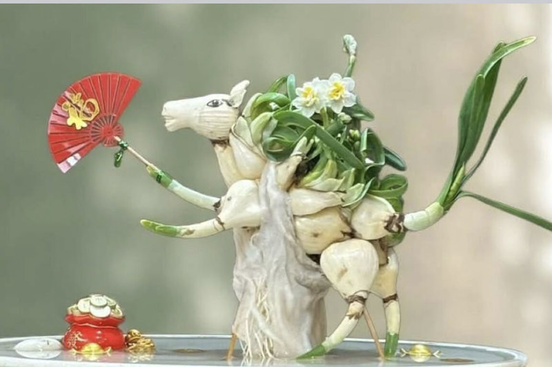 台南市文化局24日將在山上花園水道博物館舉辦水仙雕刻體驗活動，教民眾養出屬於自己的年節花卉。圖為水仙雕刻作品。（台南市文化局提供）中央社記者楊思瑞台南傳真　115年1月20日