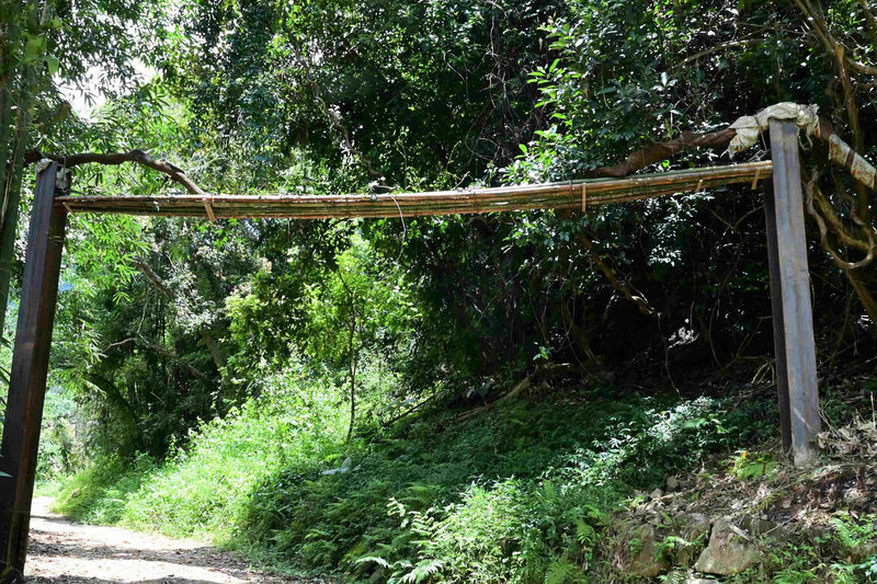 林業及自然保育署嘉義分署近期完成台南市楠西區「南山林道」修復，特別針對生長在林道上方的特有種植物「鴨腱藤」設置竹編保護措施。（嘉義分署提供）中央社記者楊思瑞台南傳真　115年1月20日