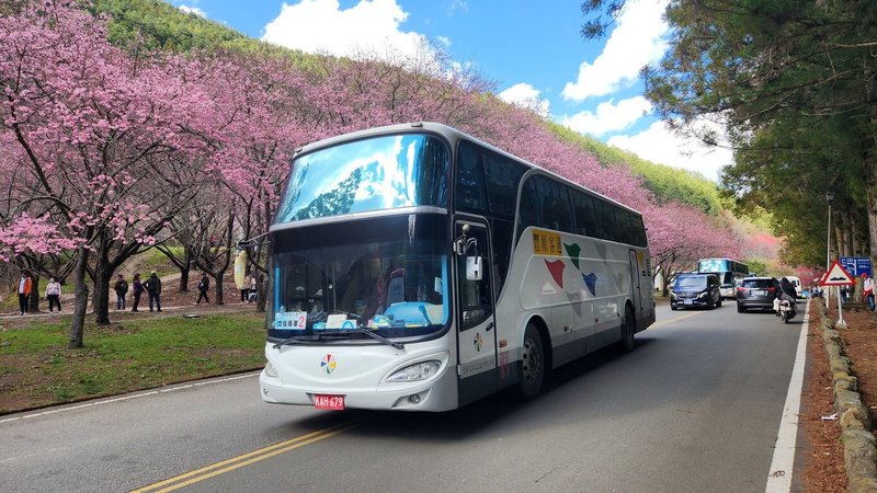 115年武陵櫻花季2月13日將正式登場，台中市交通局推出「台中Go時數型套票X武陵櫻花季交通聯票」，整合865區公車、武陵接駁專車、武陵農場門票及台中Go 48小時公車暢遊套票，20日中午起開放預購。（台中市政府提供）中央社記者郝雪卿傳真  115年1月20日