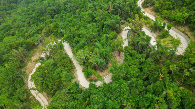 台南市楠西區的南山林道近期修復完成，全長13.3公里，設置動物通道及特有種植物鴨腱藤保護措施。（圖取自林業及自然保育署嘉義分署網頁chiayi.forest.gov.tw）